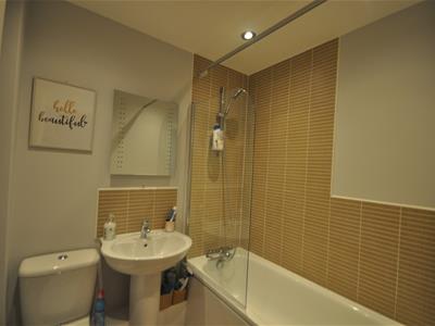 Picture 15